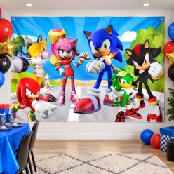 Sonic Giant FABRIC Keepsake Backdrop